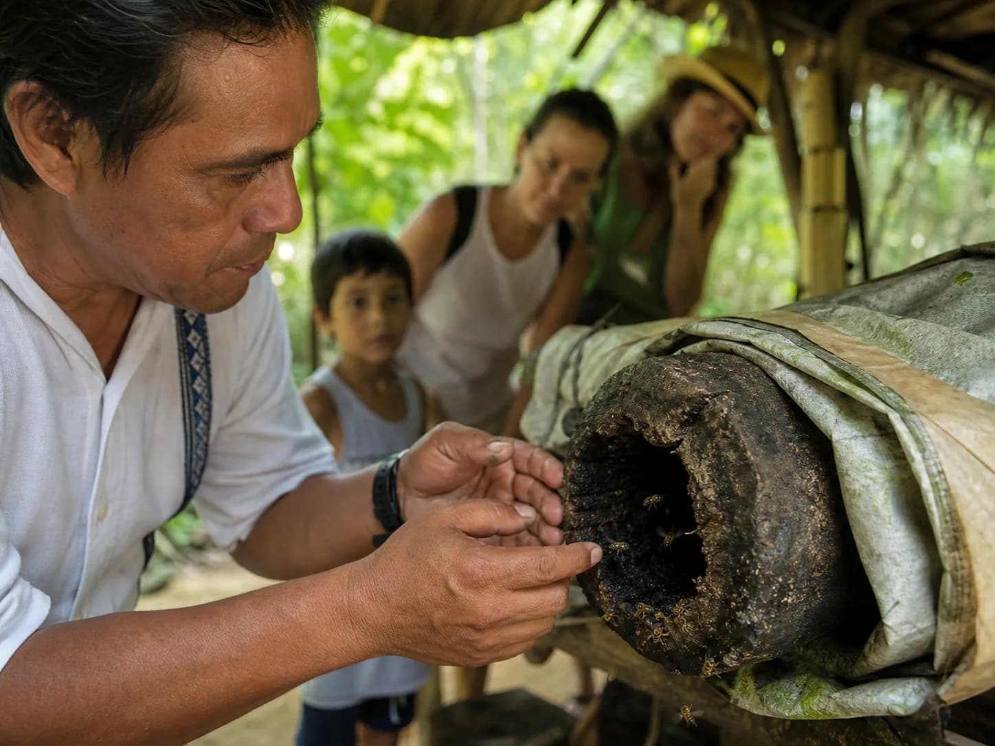 Illustrative image of Bee Sanctuary