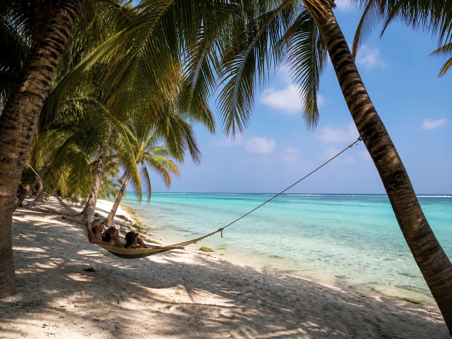 Illustrative image of Palm Beach Day